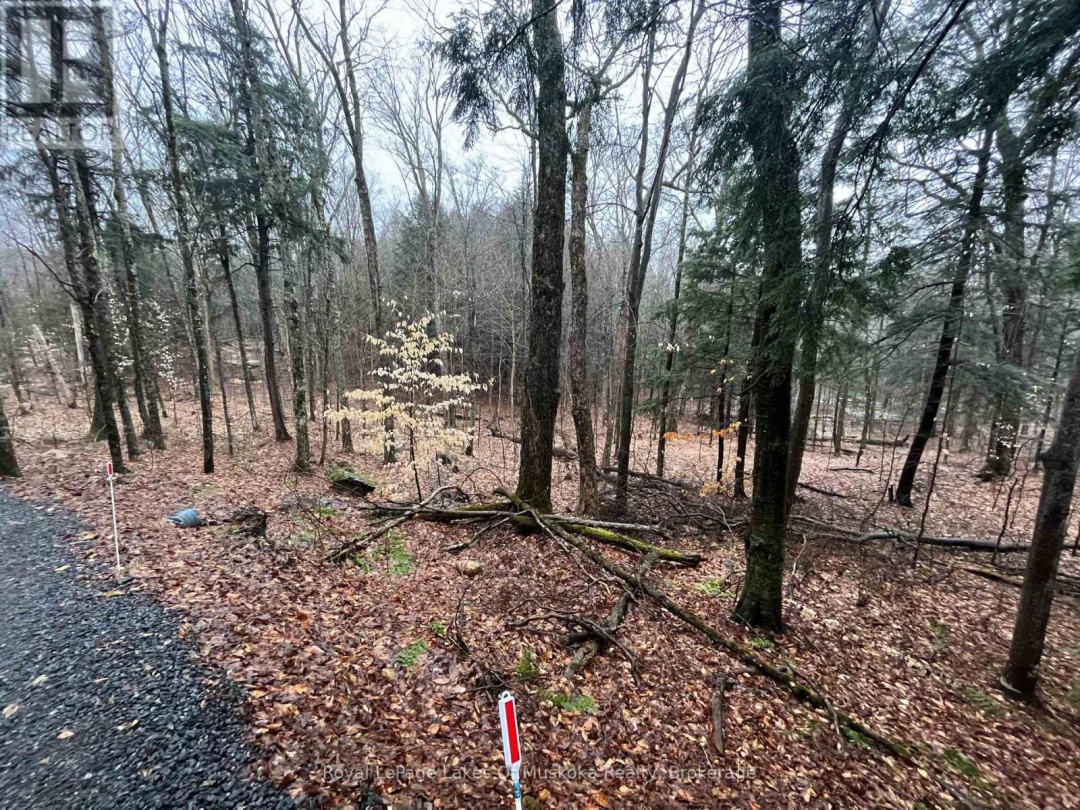 Lot 90 Lookout Point Road, Lake Vernon