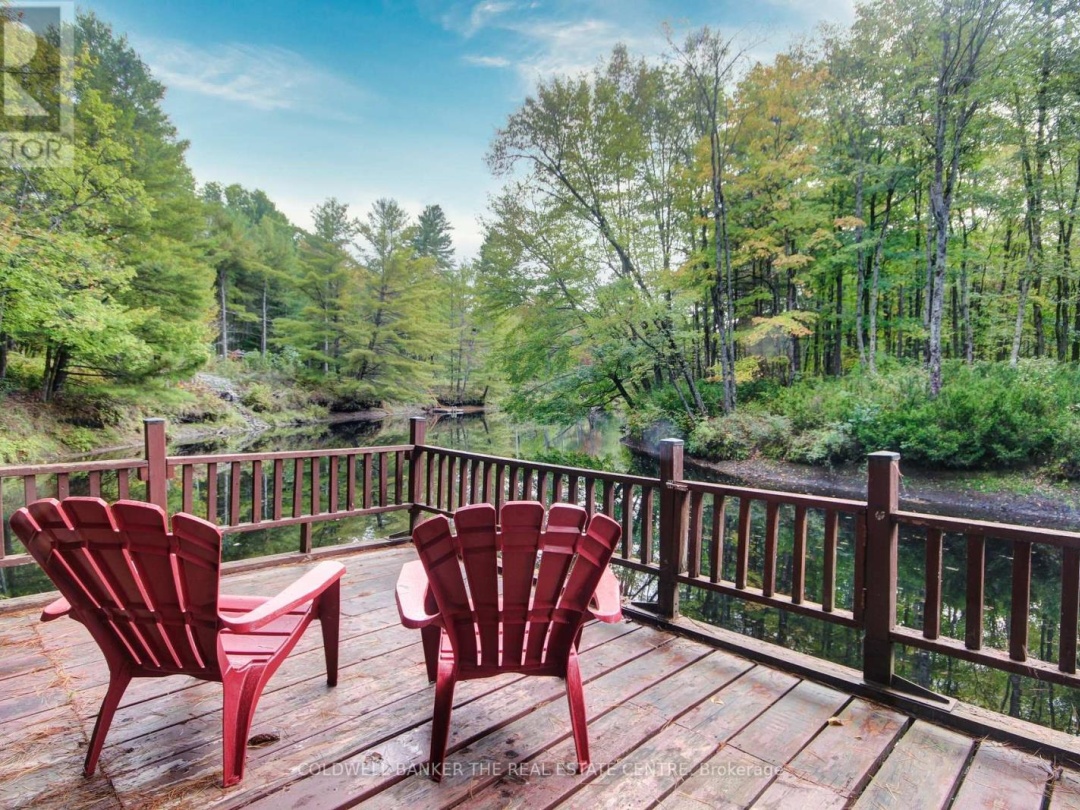 54 BLACK RIVER ROAD, 