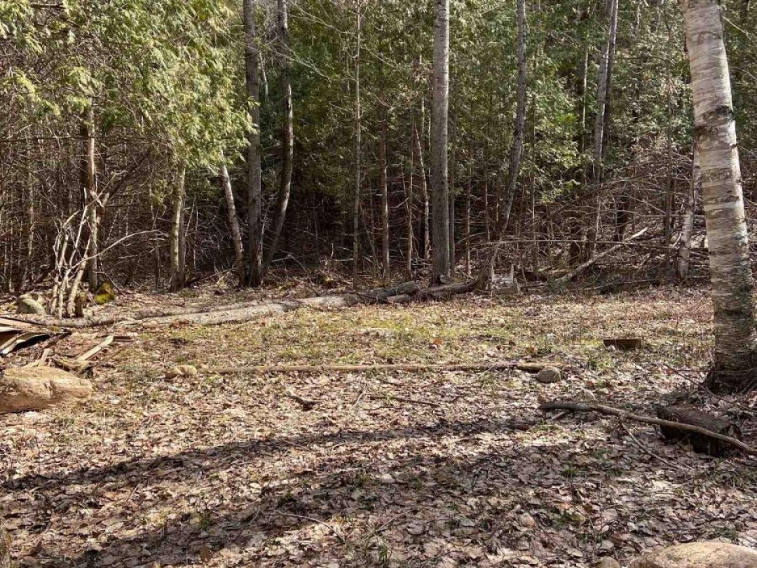 N/A CHELSEA LANE, Maple Lake