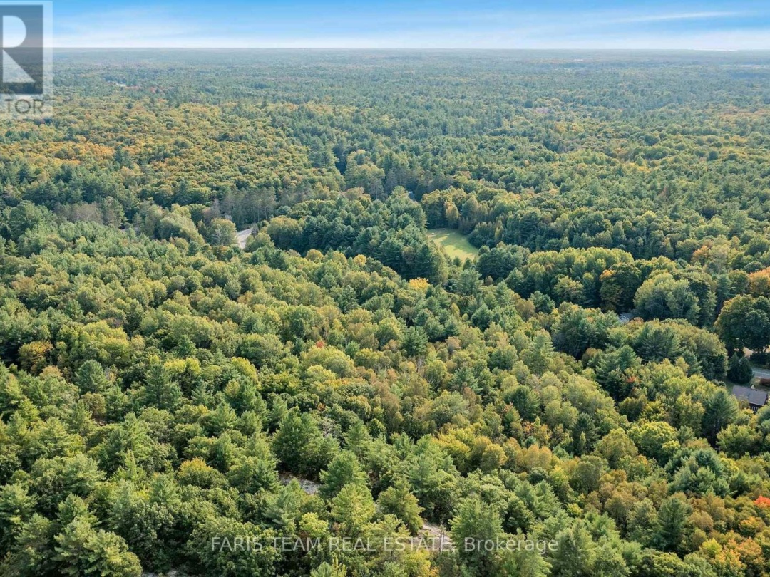 PT LT 3 HOUSEY'S RAPIDS ROAD, Kawartha Lakes (Dalton)