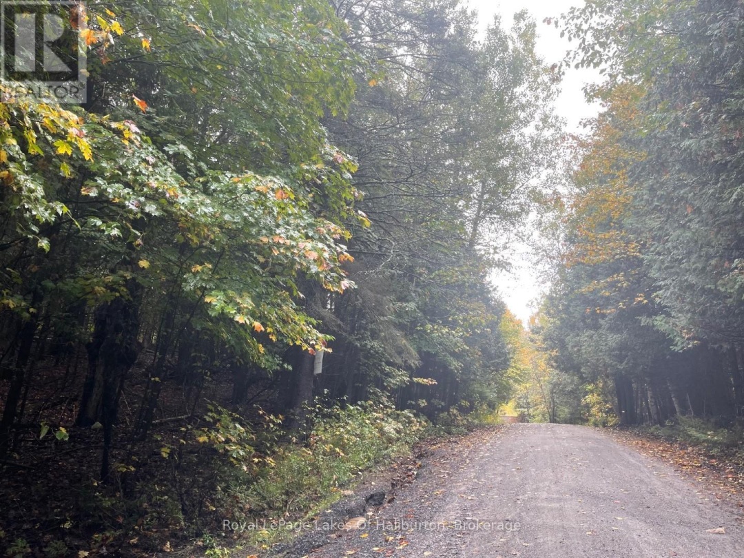 Lot 67 Chelsea Lane, Maple Lake