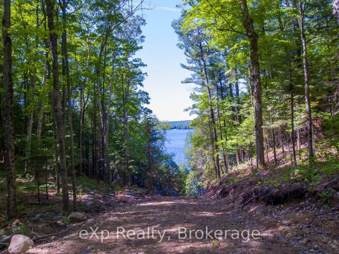 Lot # 4 Gonnsen Trail, Drag Lake