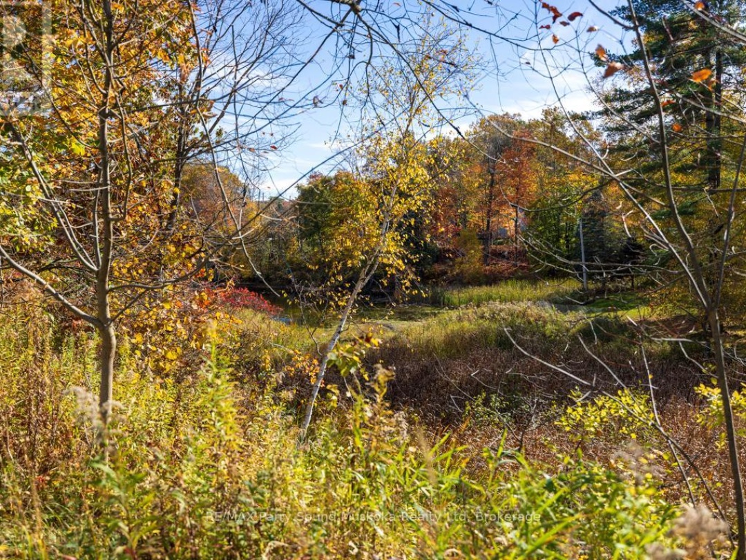 303 - 20D SILVER BIRCH COURT, 