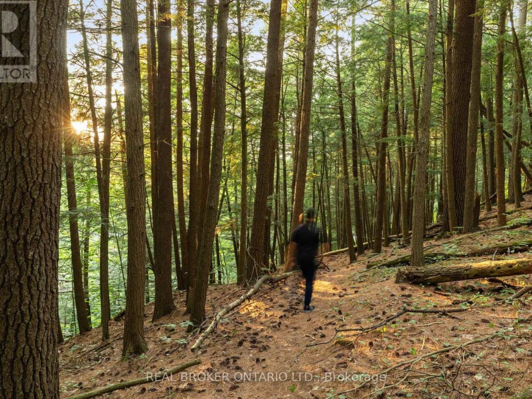 1401 COOPERS FALLS ROAD, 