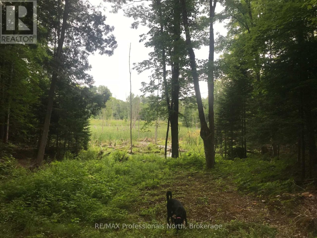 1645 SOUTH LAKE ROAD, 