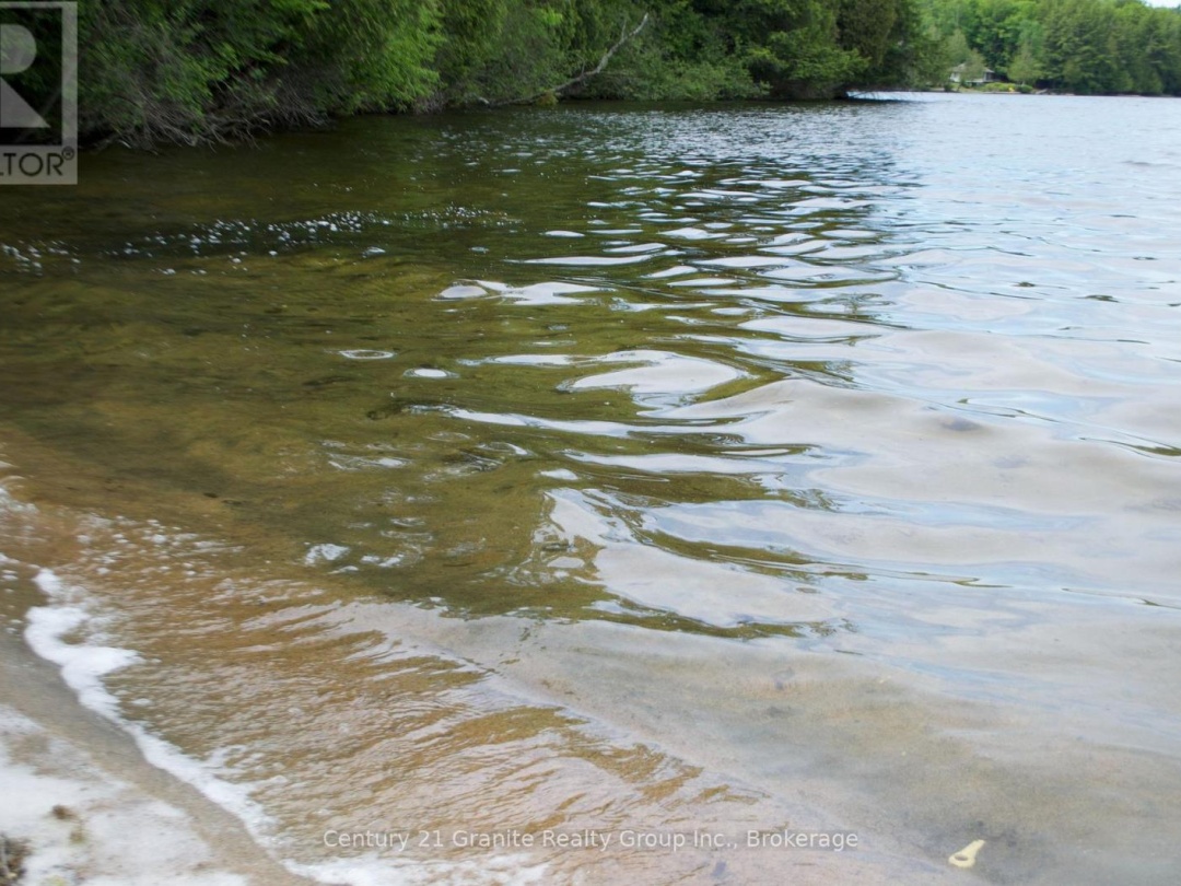 LOT 10 LOON LAKE ROAD S, 