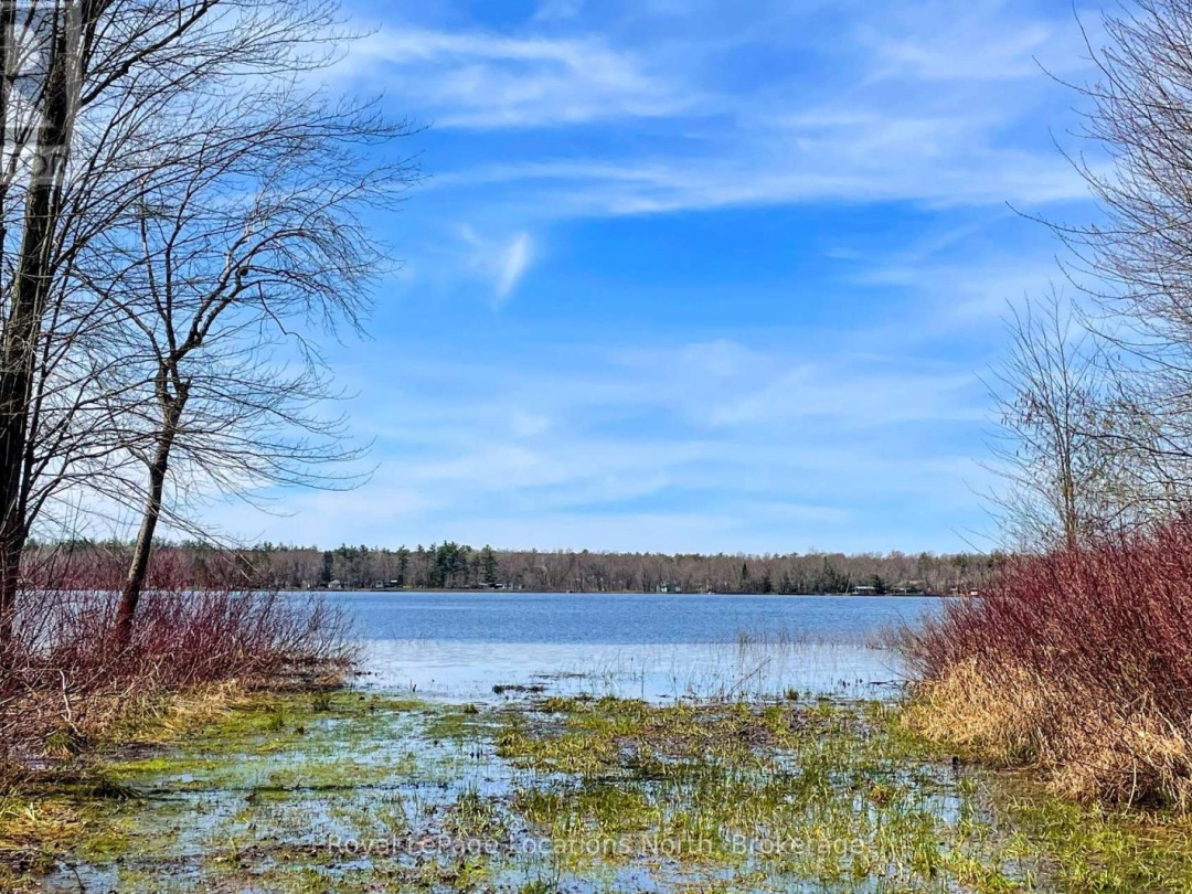 239 Monck Rd Cty 45, Young Lake