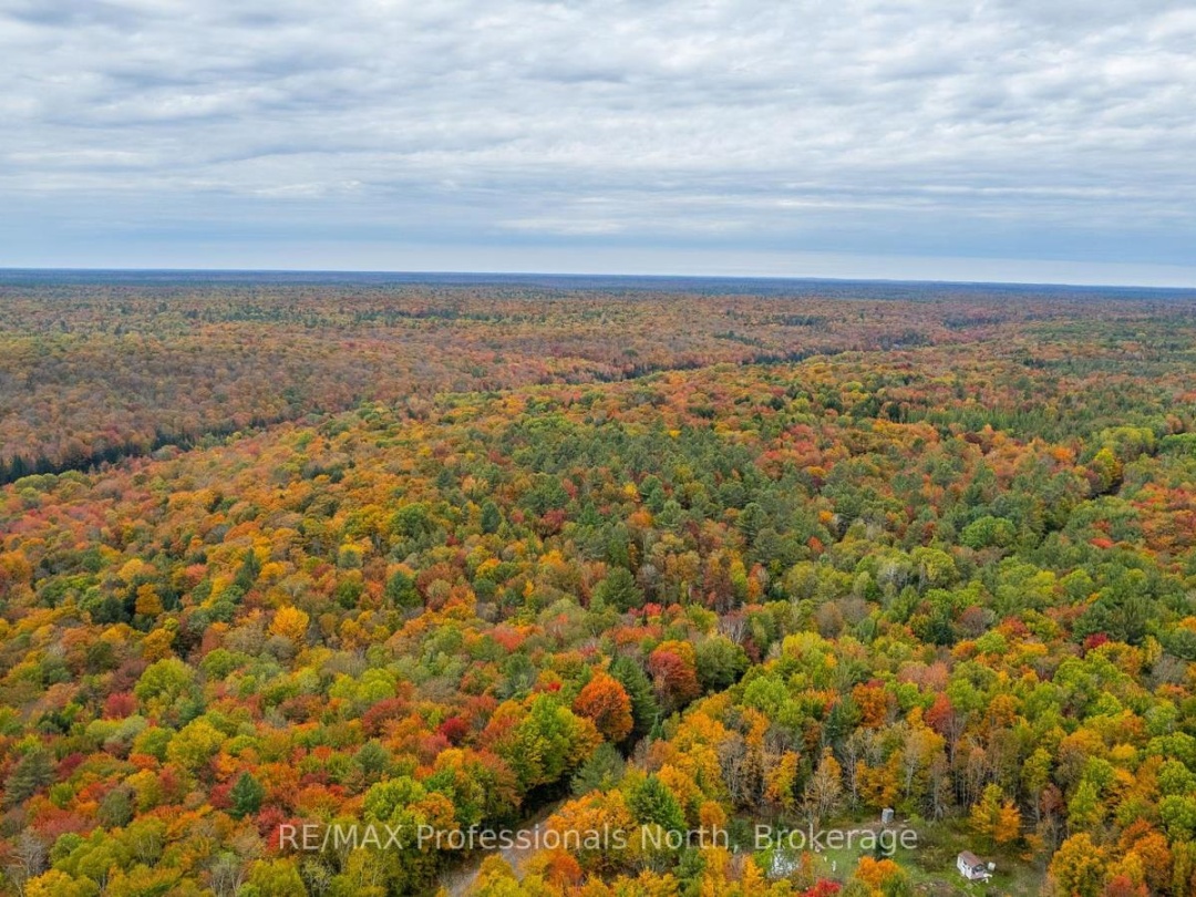 1600 BOBCAYGEON ROAD, 