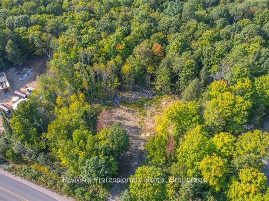 1205 Little Hawk Lake Road, Algonquin Highlands