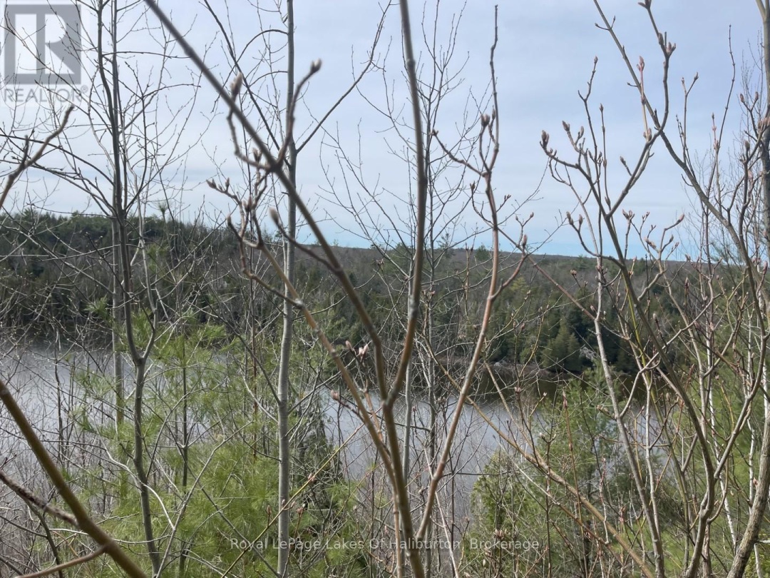 0 Starlight Road, Gull Lake