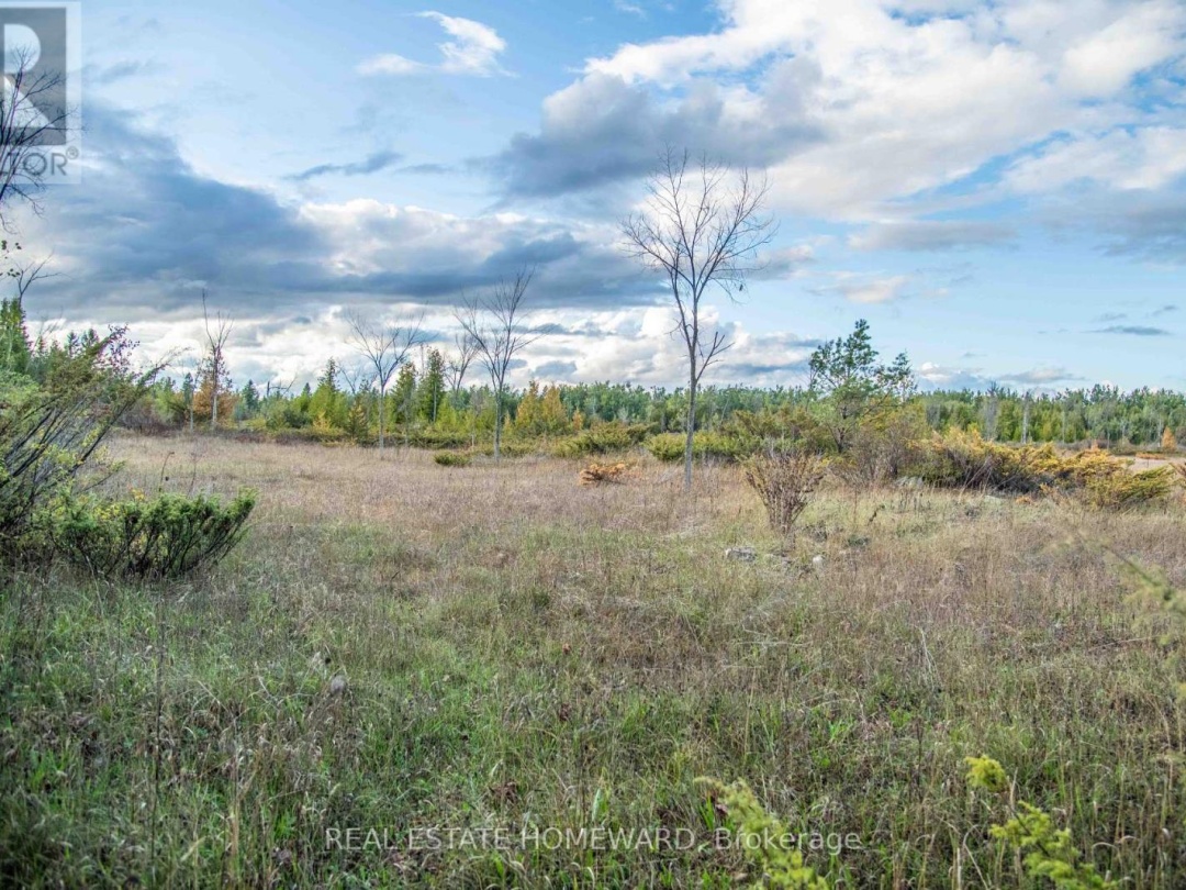 LOT 256 MCGUIRE BEACH ROAD, 