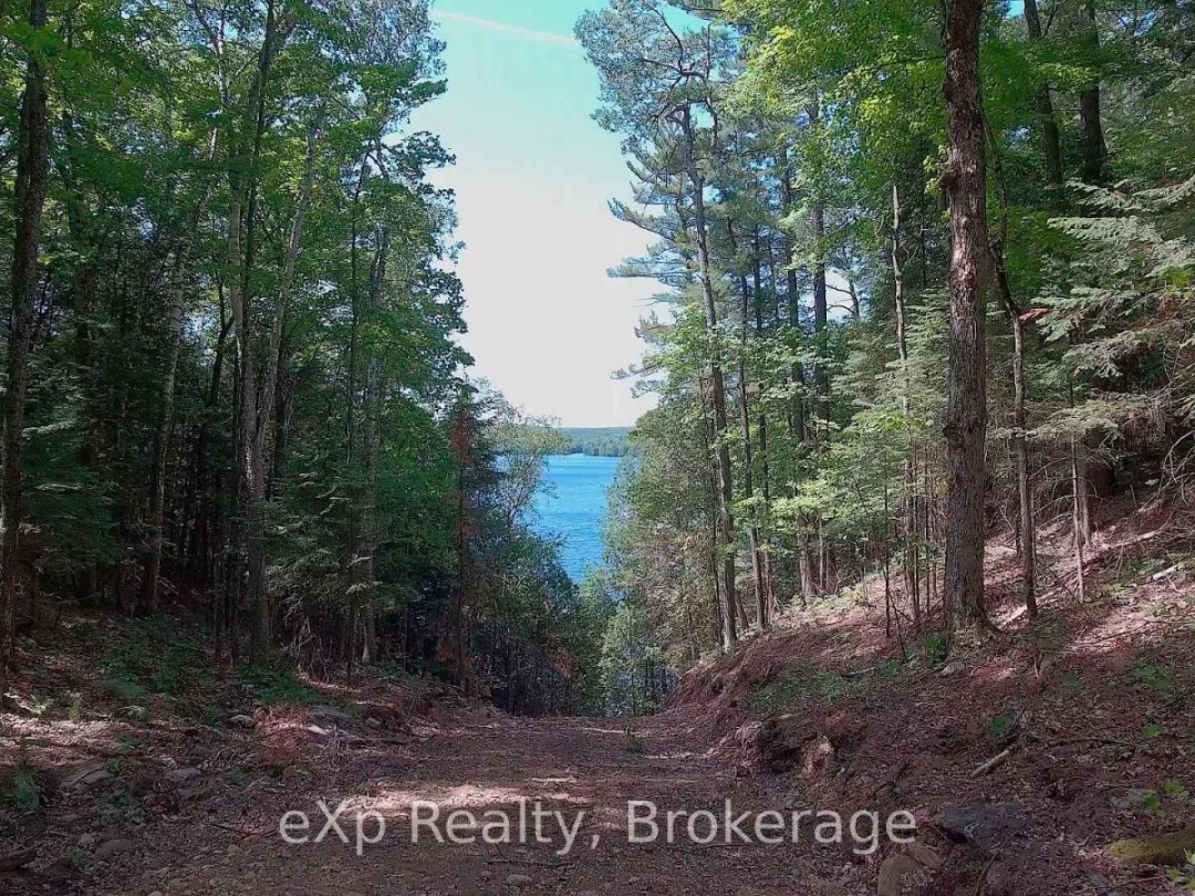 Lot 5 Gonnsen Trail, Drag Lake