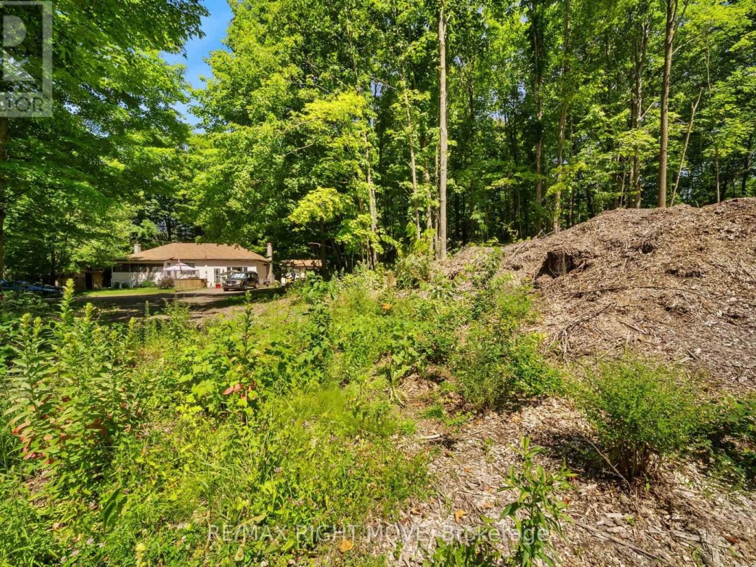 255 PEARL DRIVE, 
