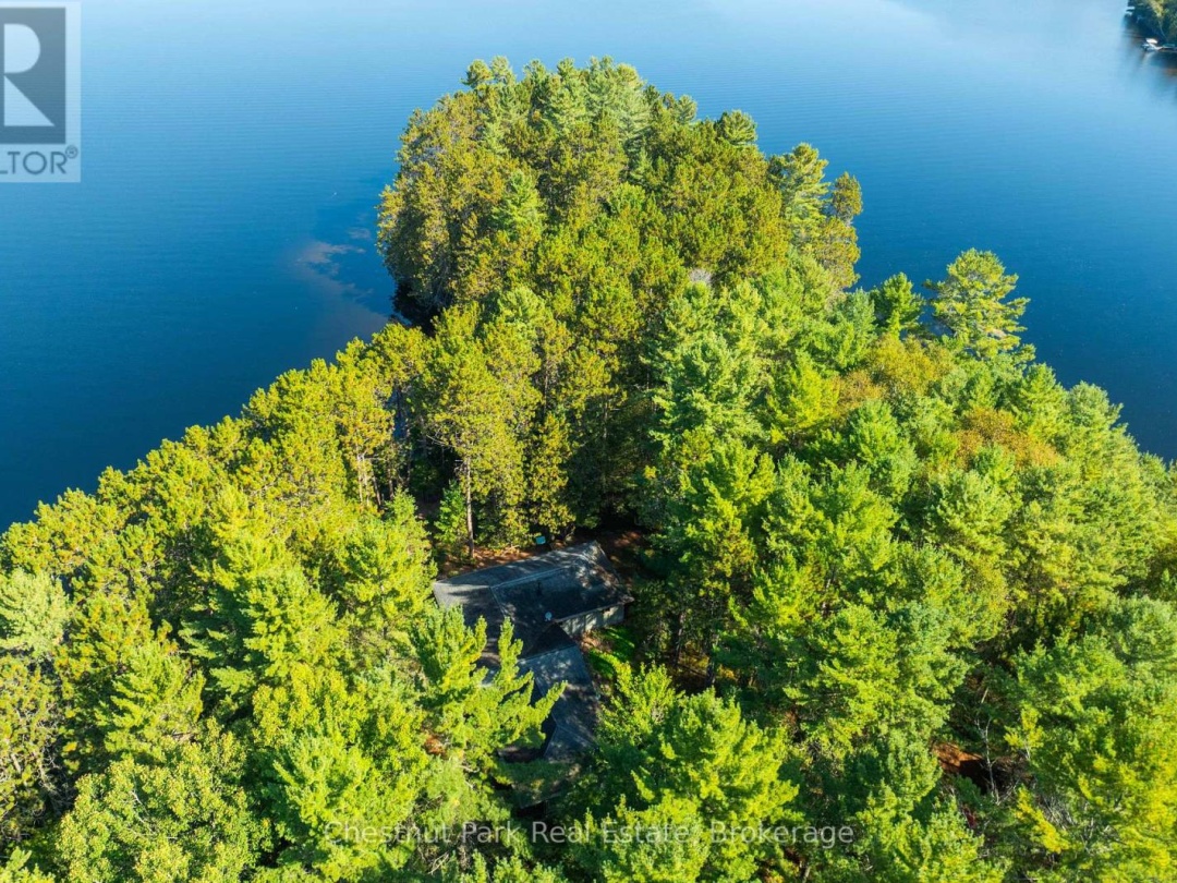 1000 Brown Island, Soyers Lake