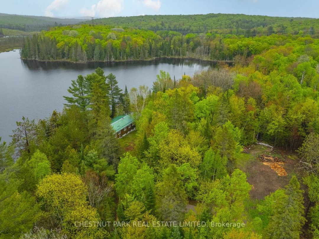 2411 SOYERS LAKE ROAD N, 