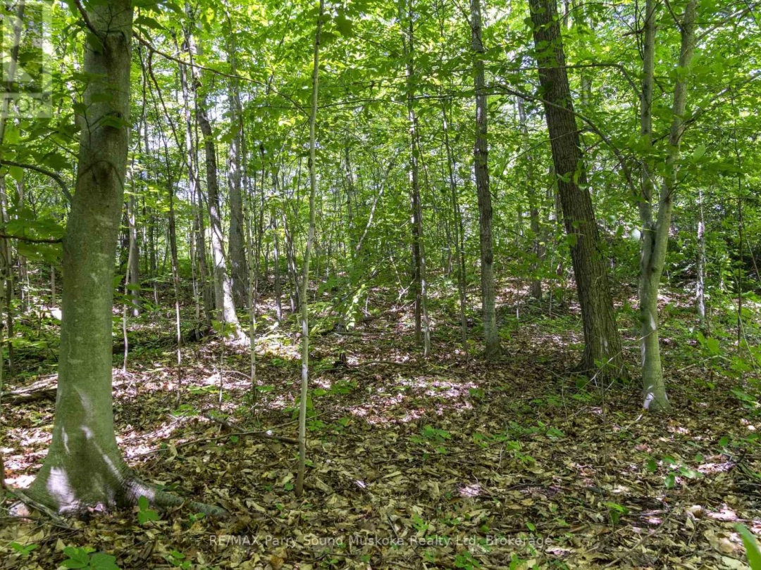 34B BELL LAKE ROAD, 