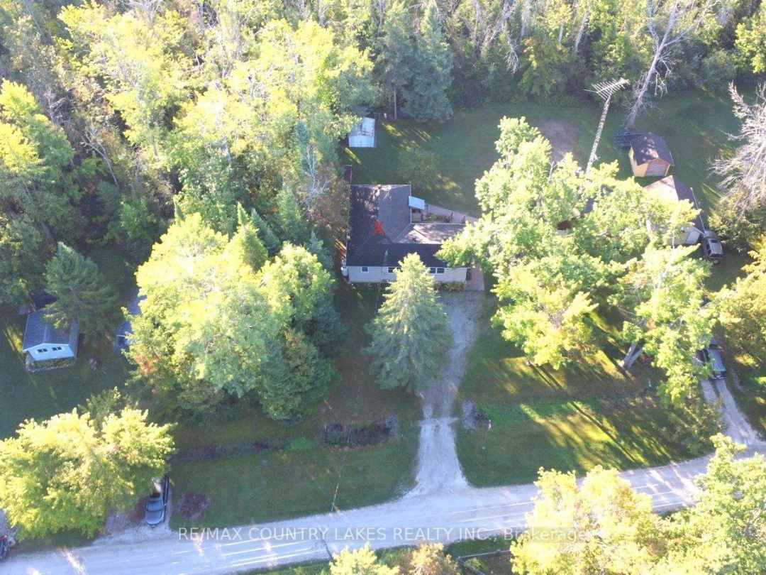 62 PARADISE ROAD, 