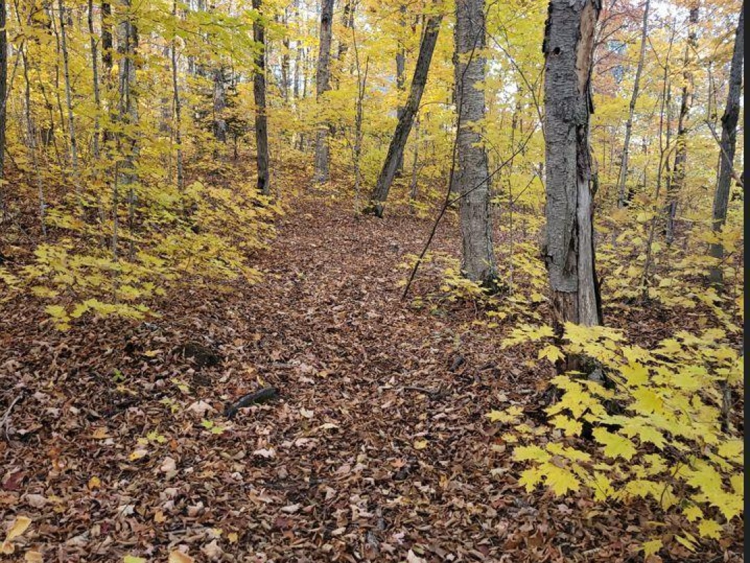 550 Shawanaga Lake, Shawanaga Lake