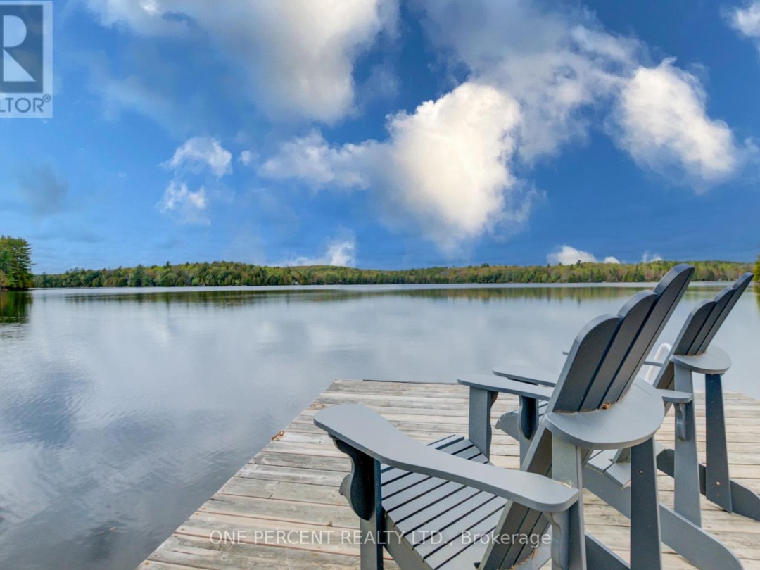 1105 Lakeshore Road, Gooderham Lake