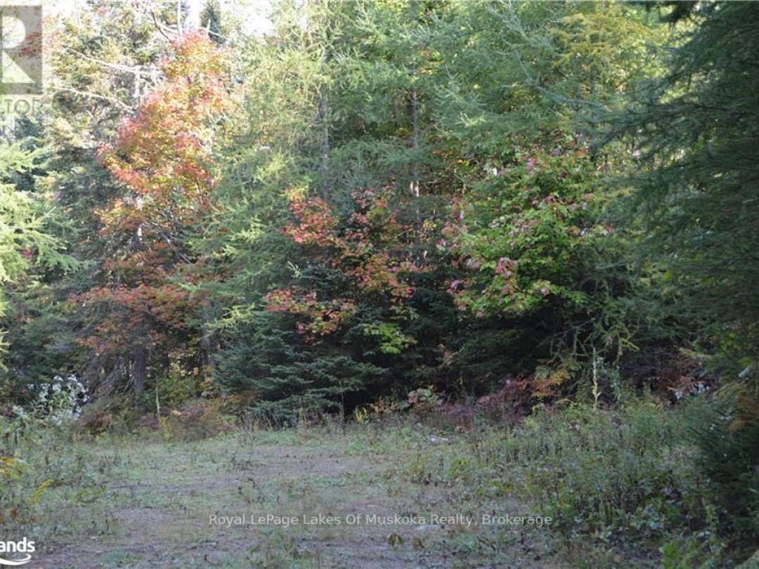 LOT 20 CONCESSION 5 ROAD, 