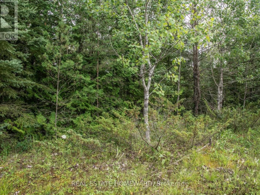 LOT 256 MCGUIRE BEACH ROAD, 
