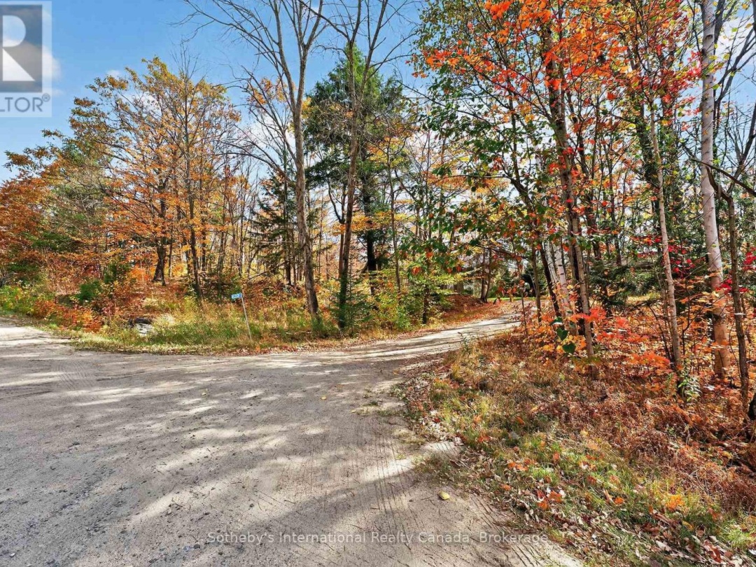 1132 LIMBERLOST ROAD, 