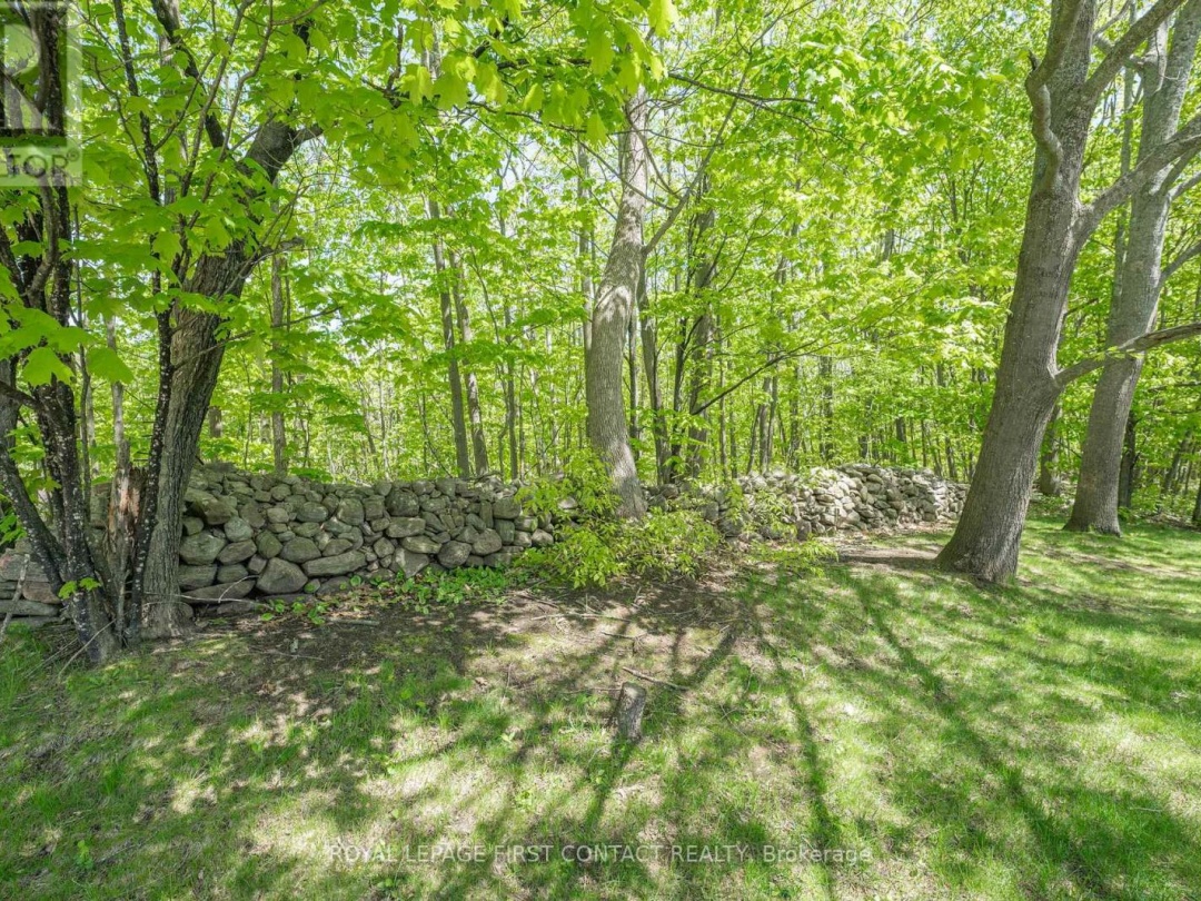 6312 9 Line N, Oro-Medonte