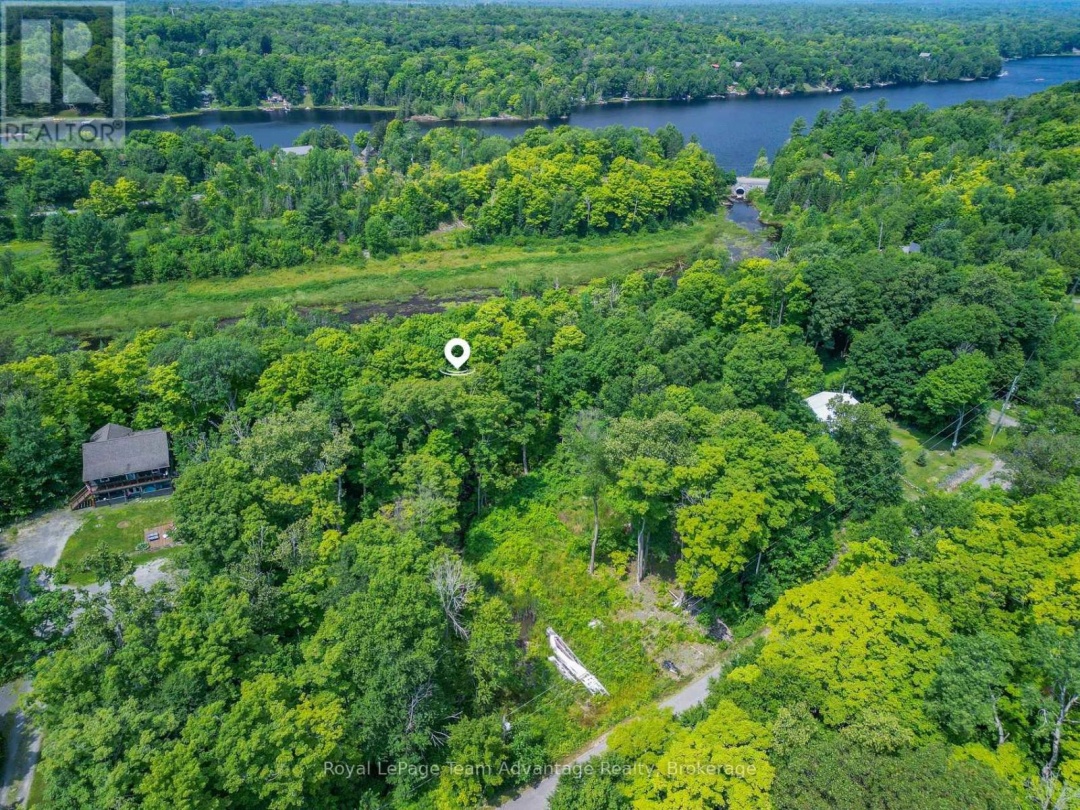 17 CORNFLOWER ROAD, 