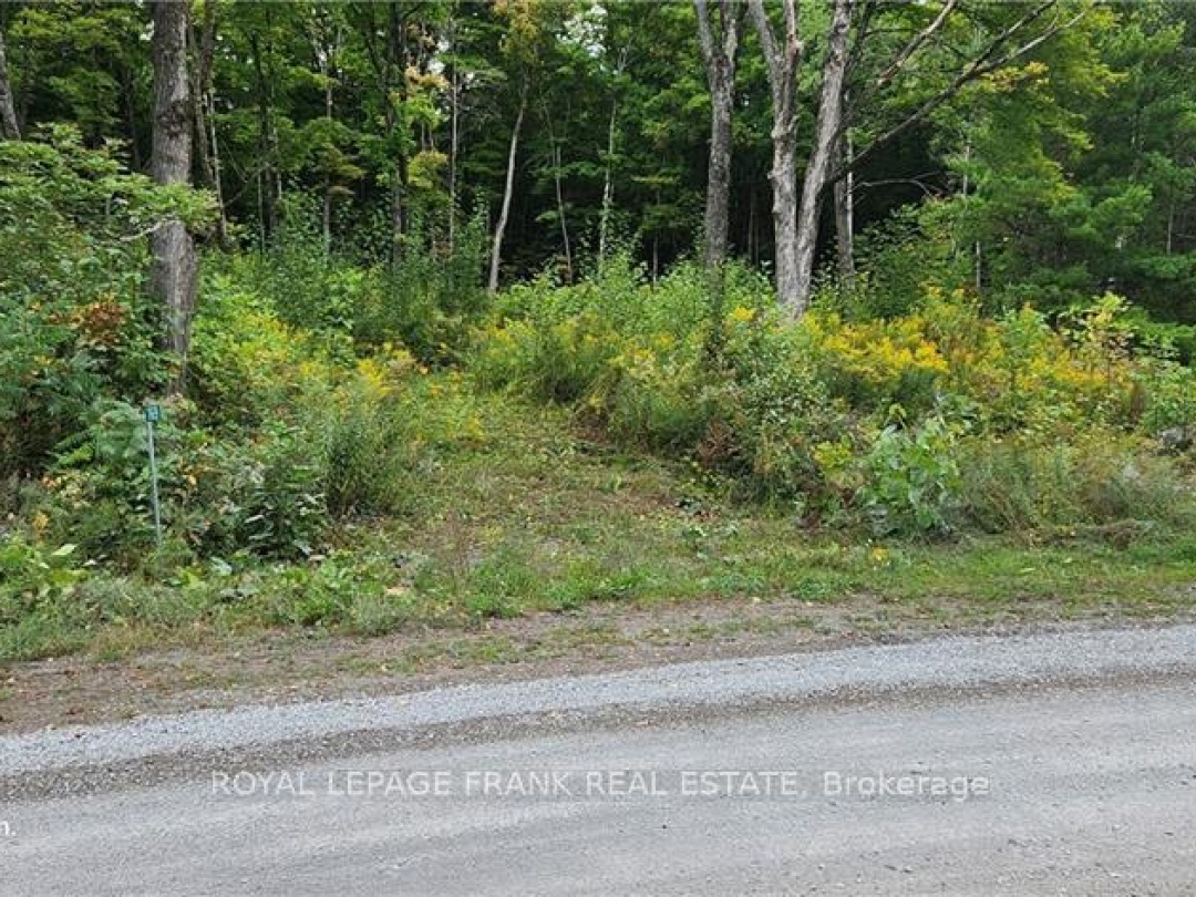 169 NORTHERN AVENUE, Trent Lakes