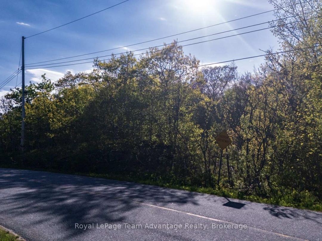 9 Pinewood Road, McDougall