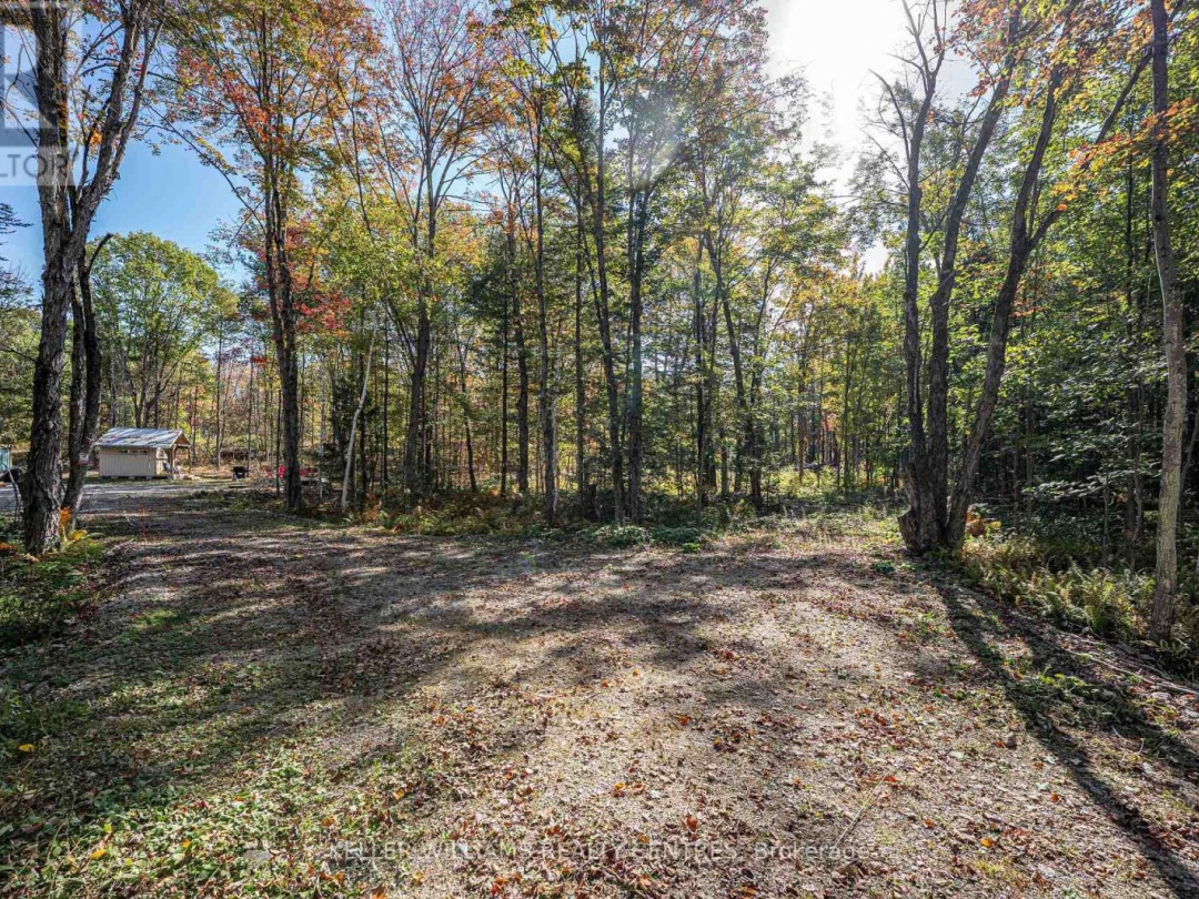 3124 SOUTHWOOD ROAD, 