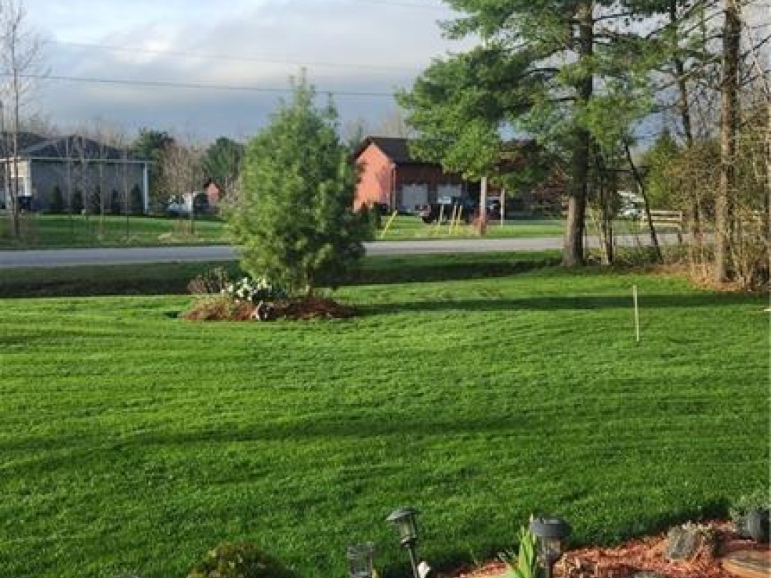 1572 Laughlin Falls Road, Coldwater