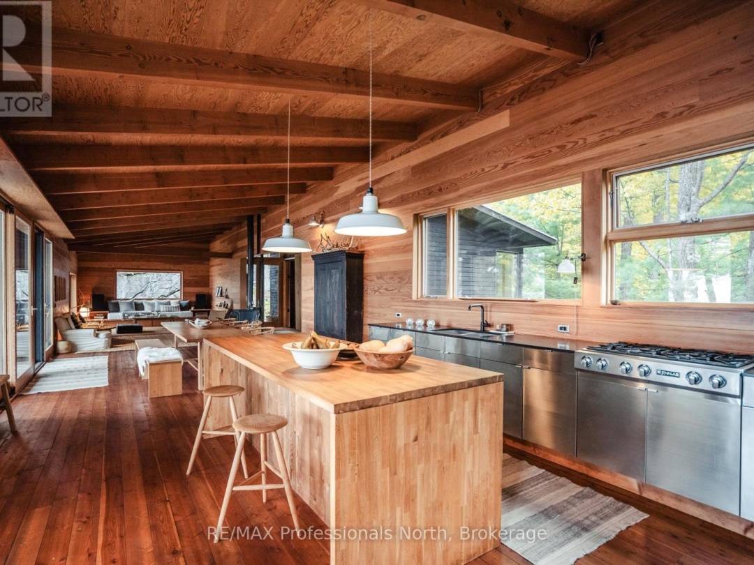 11405 DRAG LAKE EAST SHORE, 