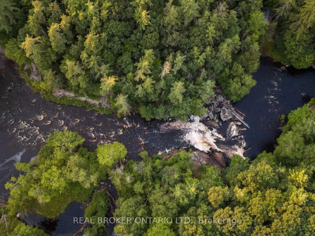 1401 Coopers Falls Road, Black Lake