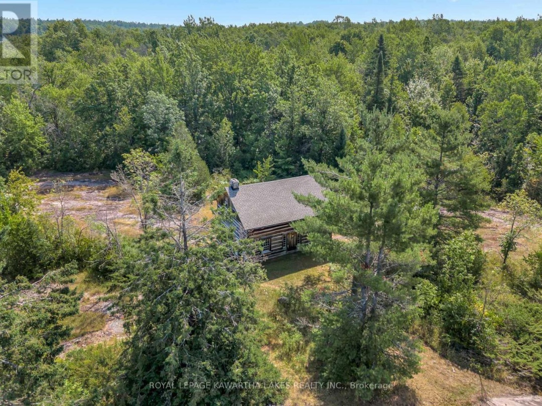 48 MACKENZIE ROAD, 
