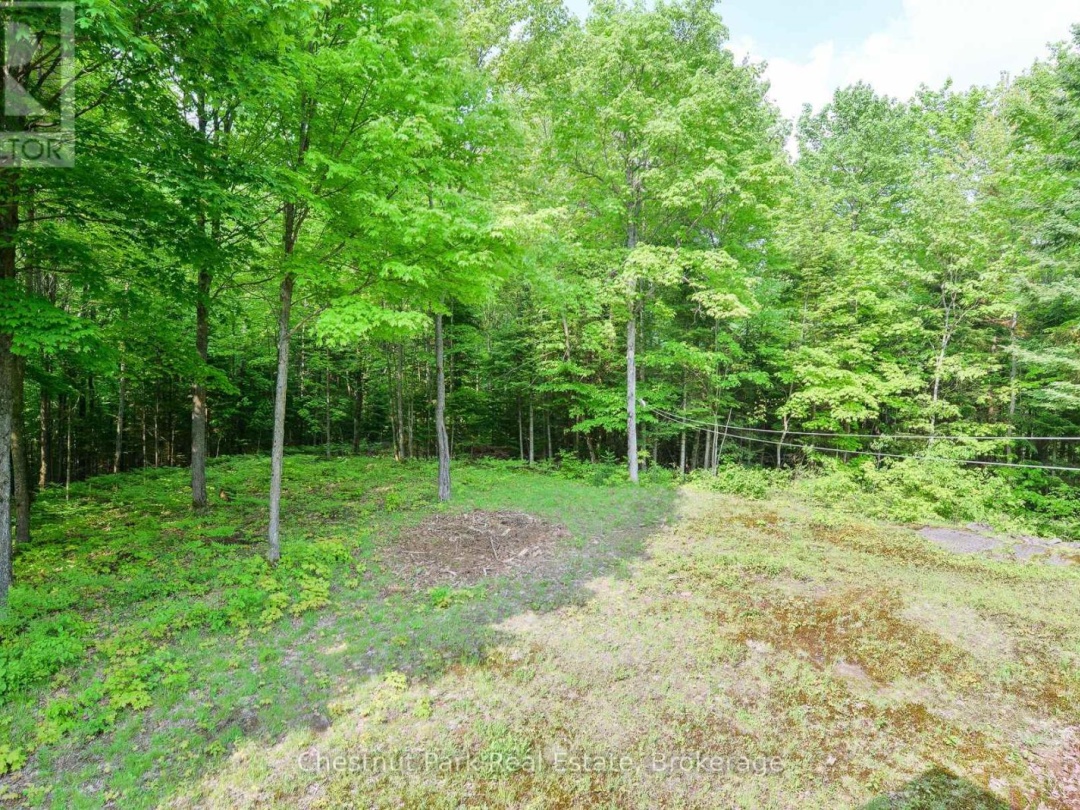 628 LYNX LAKE ROAD, 
