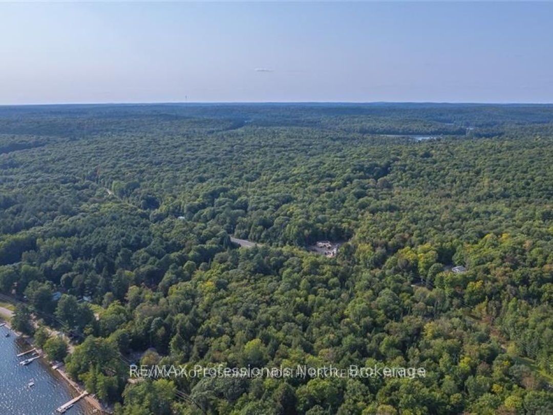 1205 Little Hawk Lake Road, Algonquin Highlands
