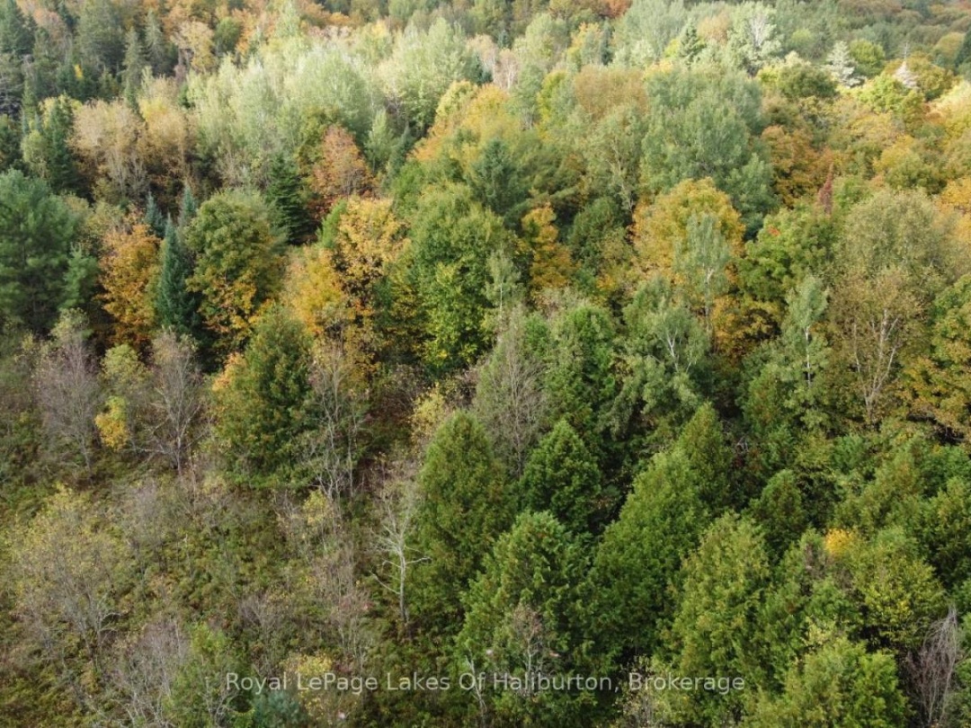 Lot 67 Chelsea Lane, Maple Lake