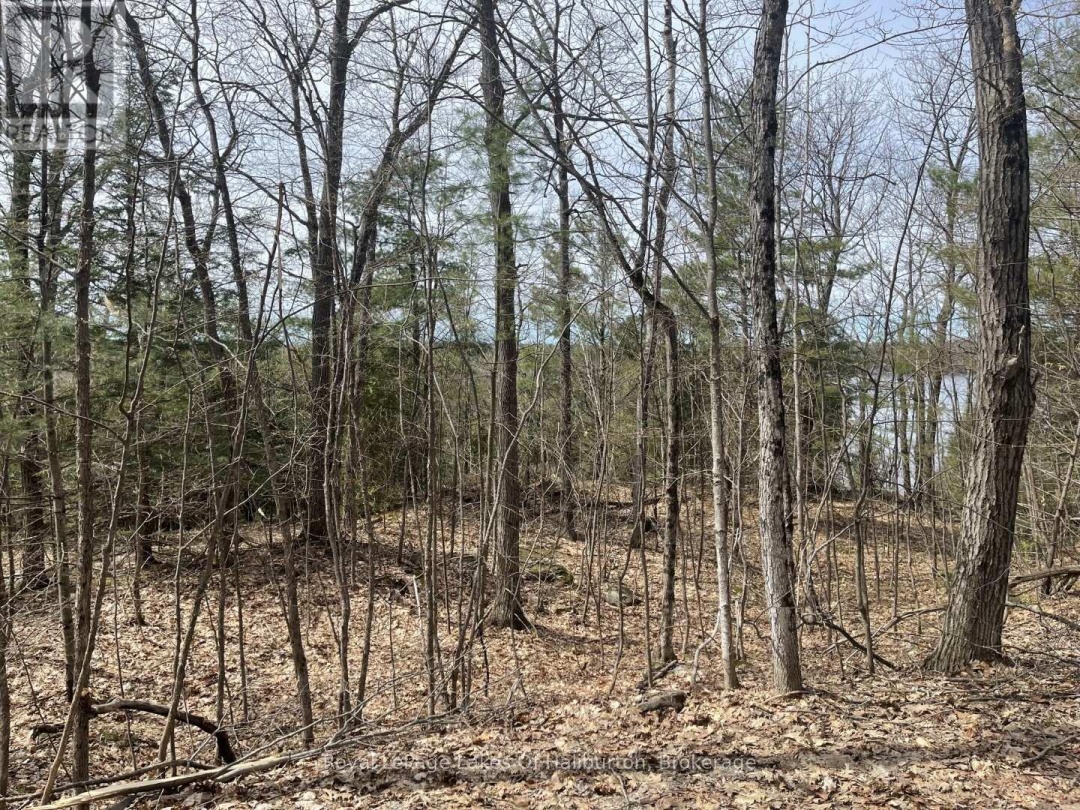 0 Starlight Road, Gull Lake
