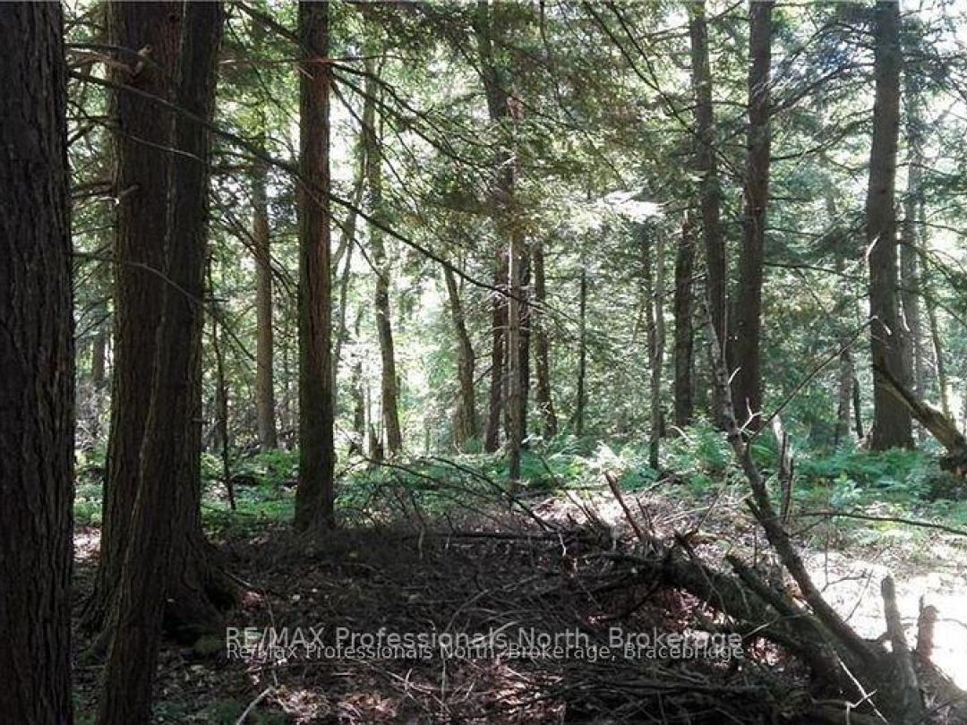 0A Healey Lake Road, Bracebridge (Macaulay)