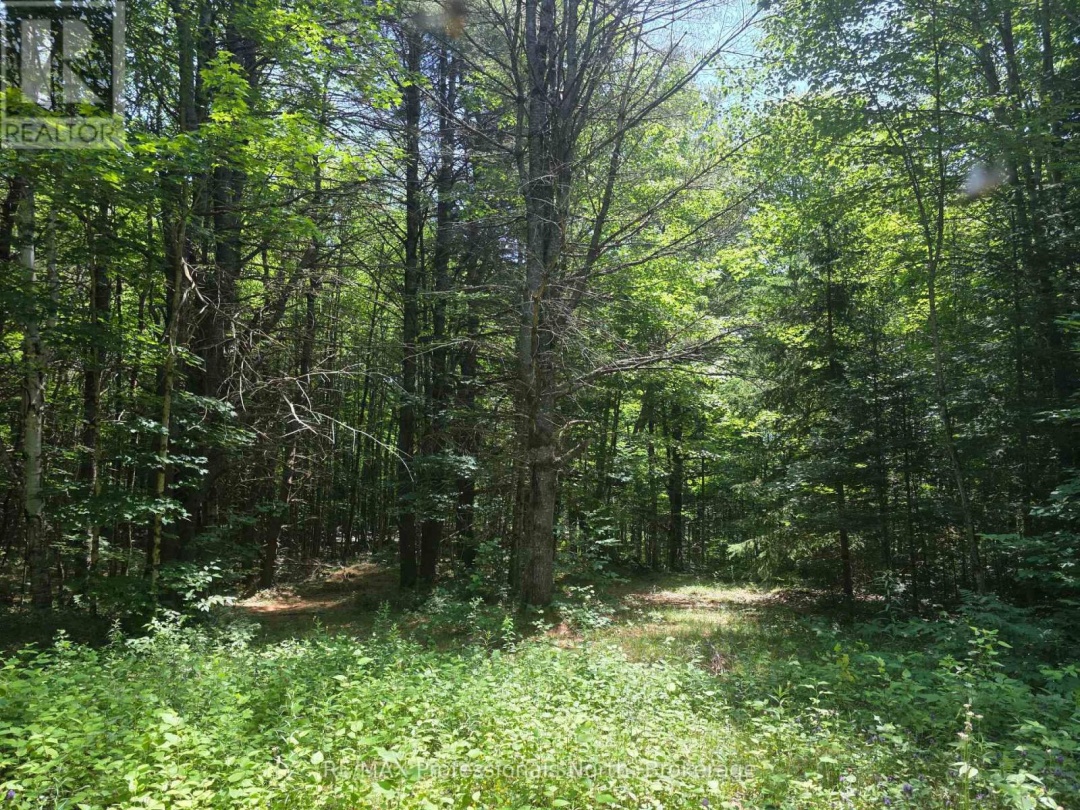 1134 WALKERS LINE ROAD, 