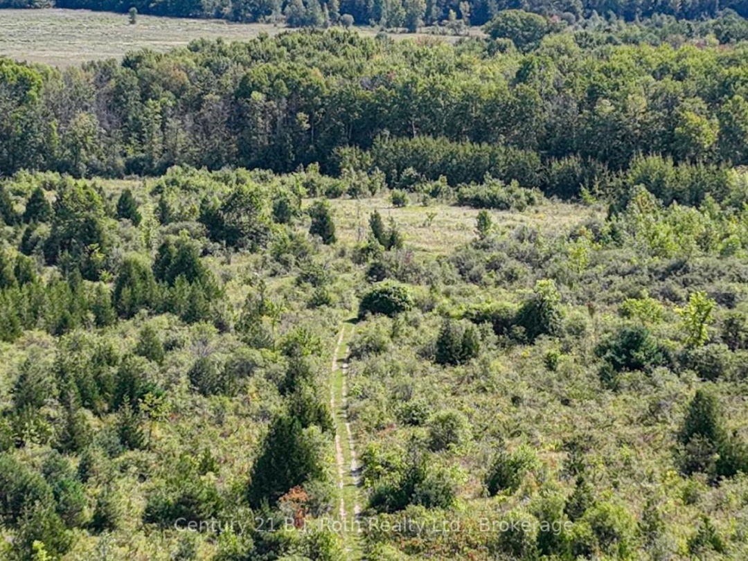 5135 SIDEROAD 25, 