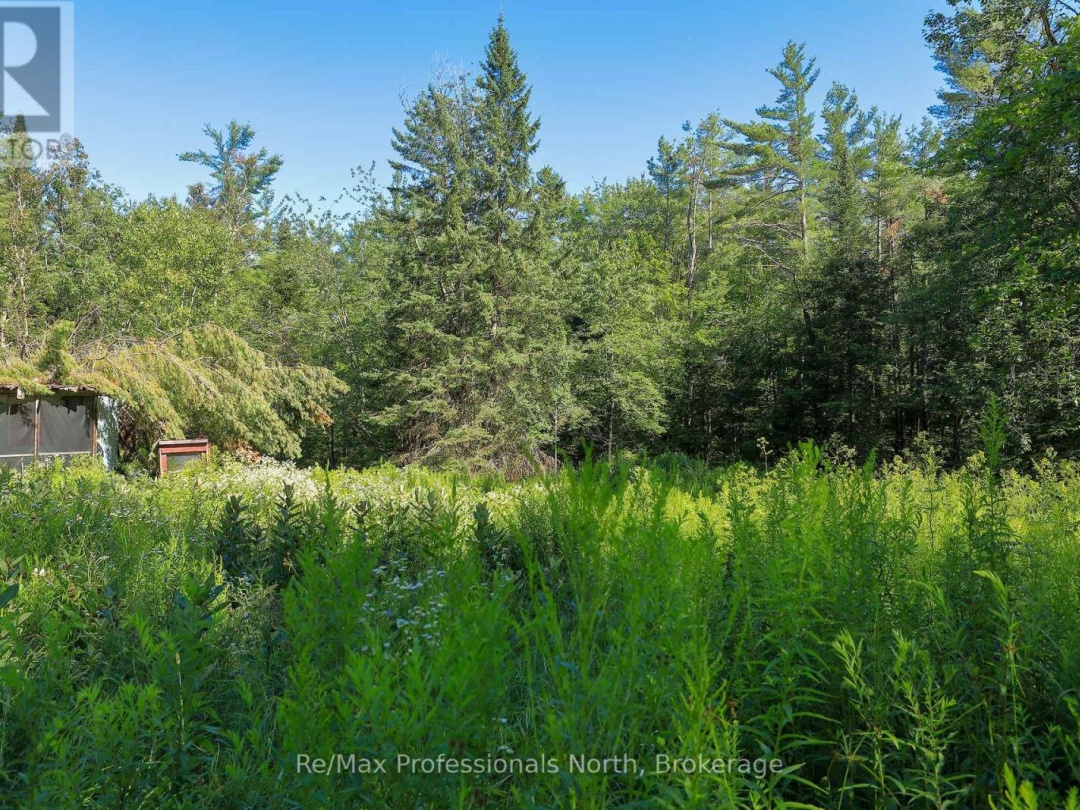 1137 BLACKMORE ROAD, 