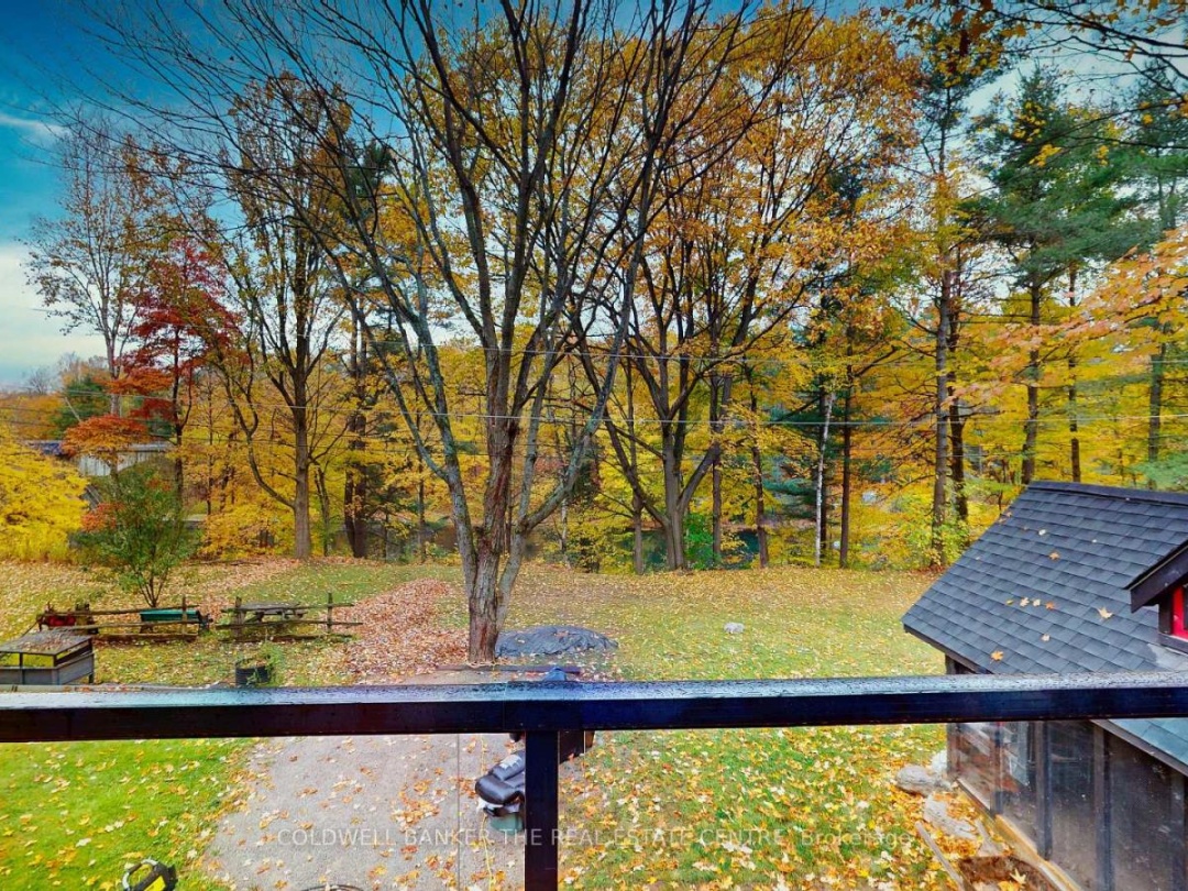 2562 NORTON ROAD, Trent Severn River