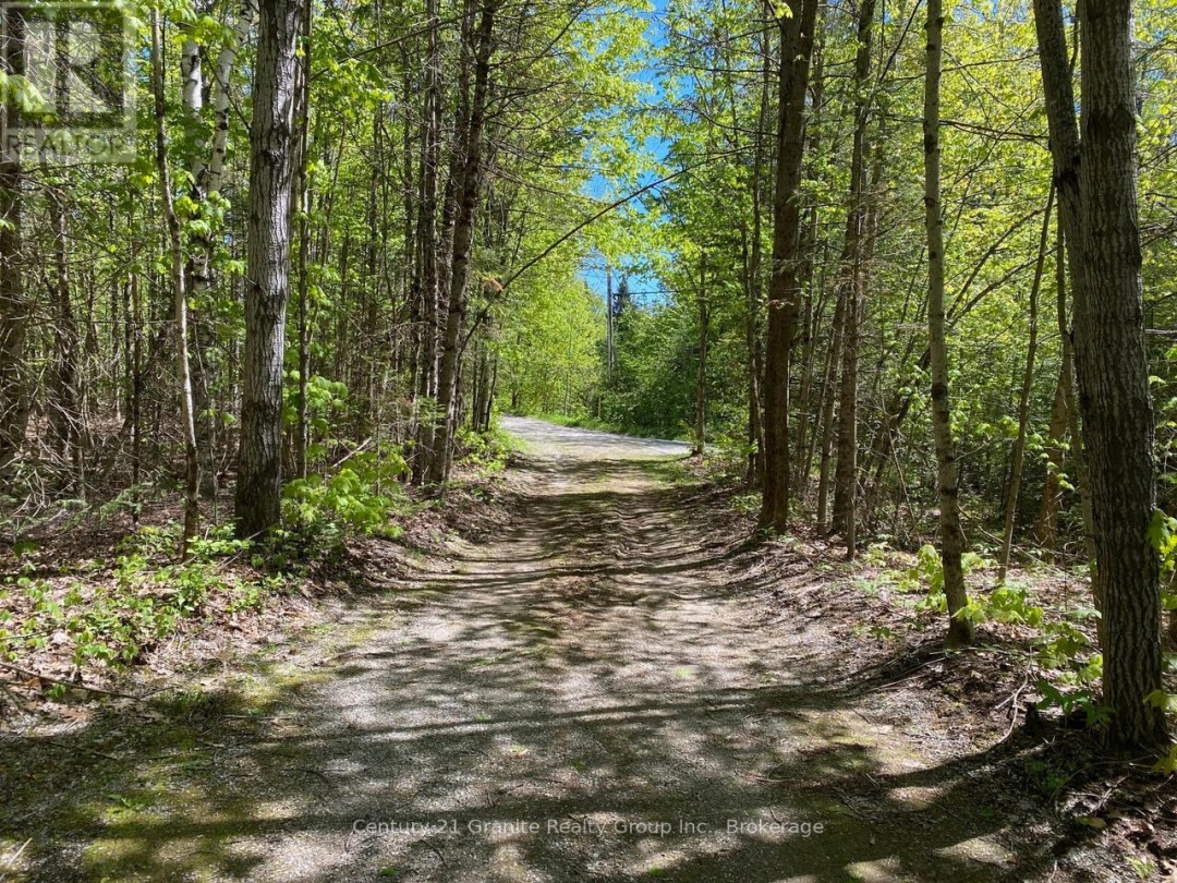 1037 ROTUNDA DRIVE, Contau Lake