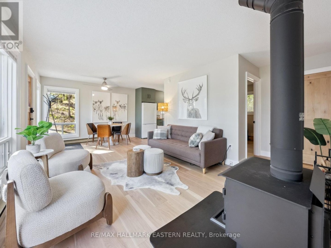 1025 Dickies Lane, Gooderham Lake