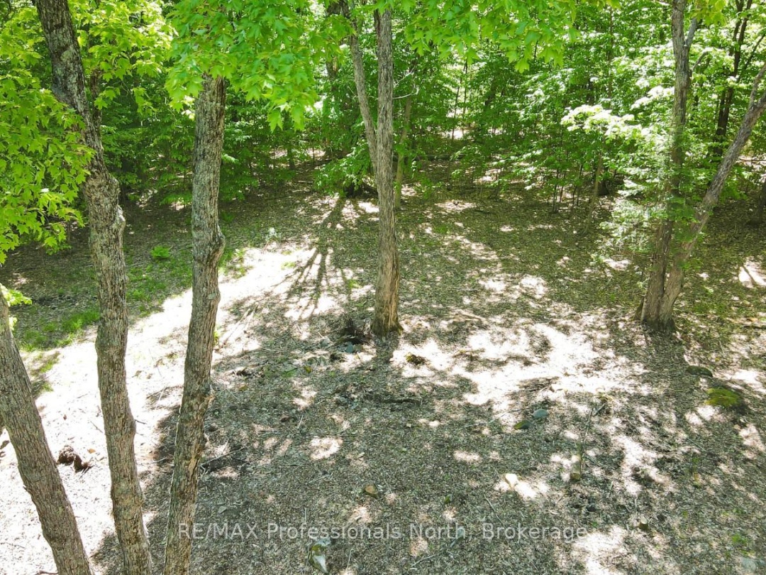 1059 NIMIGON LANE, 