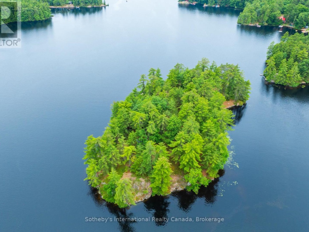 16Lk 1 Wolf Island, Kahshe Lake