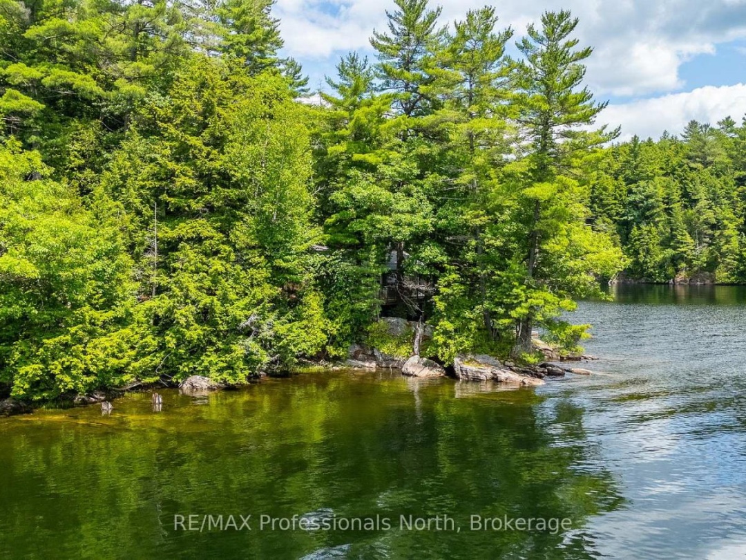 53437 BIG HAWK LAKE, 