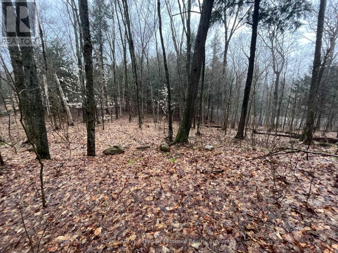 Lot 90 Lookout Point Road, Lake Vernon
